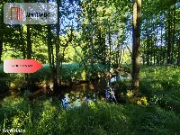 Działki rolne z dostępem do rzeki. — zdjęcie 21