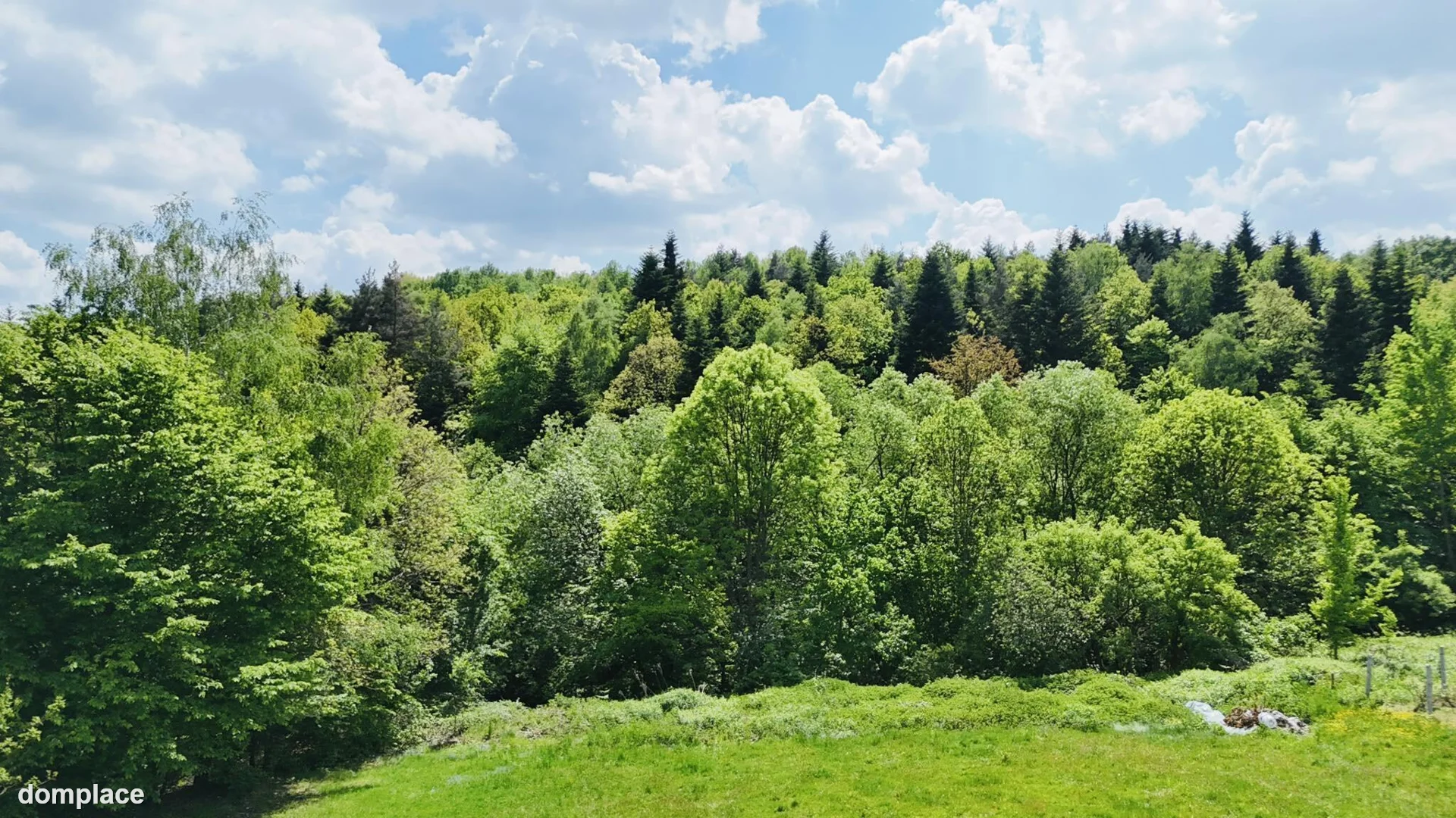 Dom — brzeski, Czchów — zdjęcie 7
