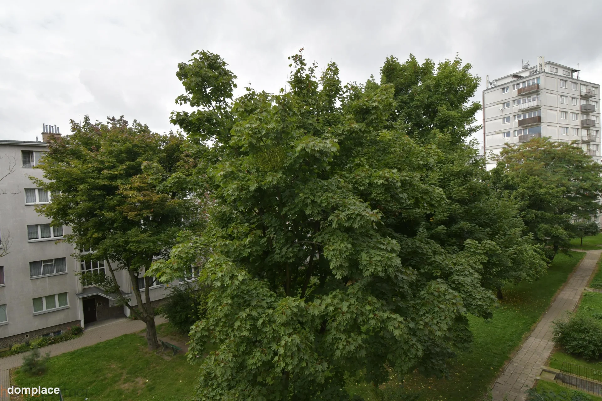 Mieszkanie — Wrocław — zdjęcie 4