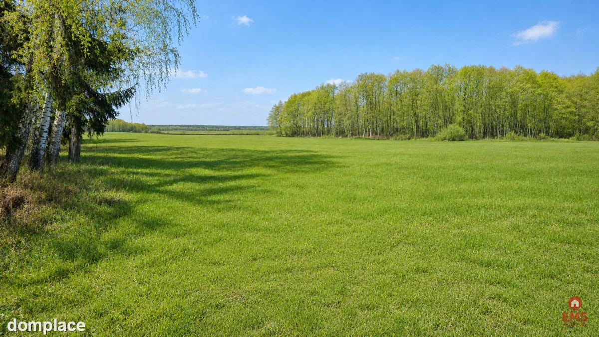 Działka budowlana 2160 m2. Nowosiółki — zdjęcie 3