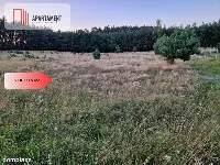 Piękna działka inwestycyjno - budowlana przy lesie — zdjęcie 1
