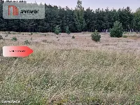 Piękna działka inwestycyjno - budowlana przy lesie — zdjęcie 4