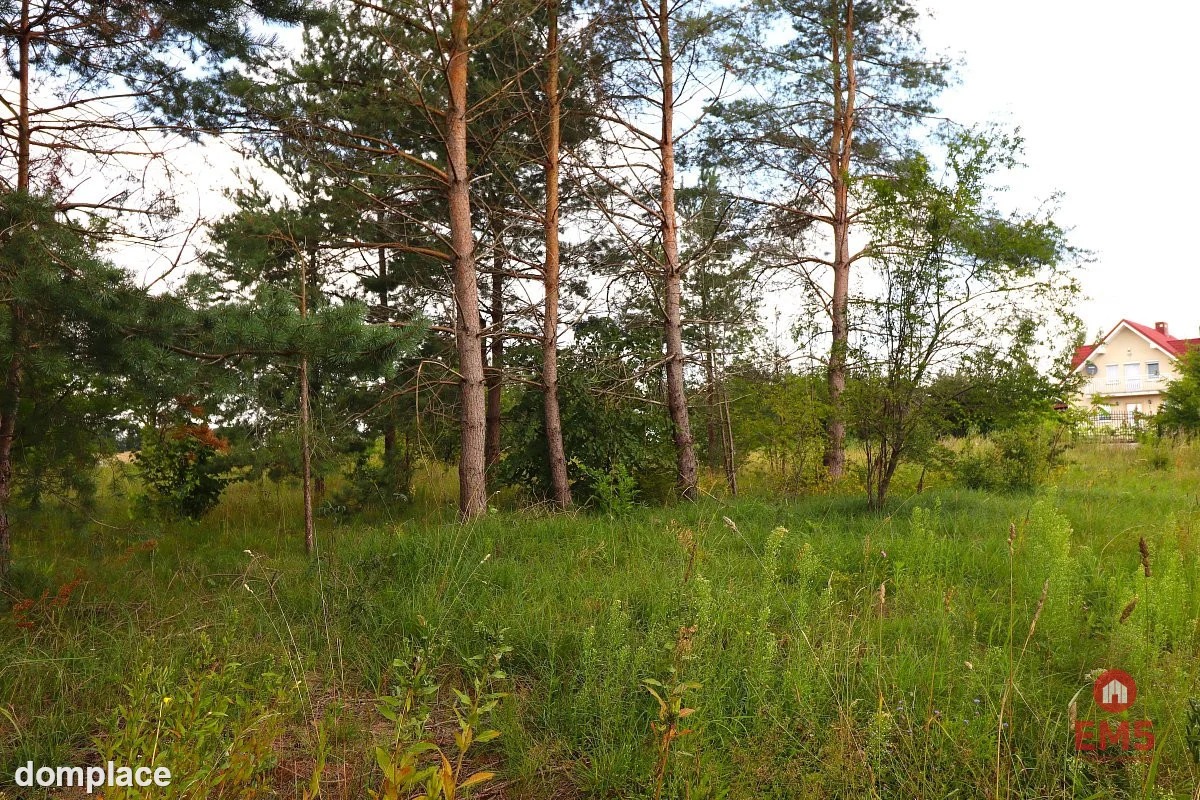 Działka budowlana pod Suwałkami NOWA CENA — zdjęcie 13