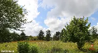 Działki budowlane Białorogi pod Suwałkami — zdjęcie 6