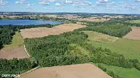 Działka — węgorzewski, Węgorzewo — zdjęcie 10
