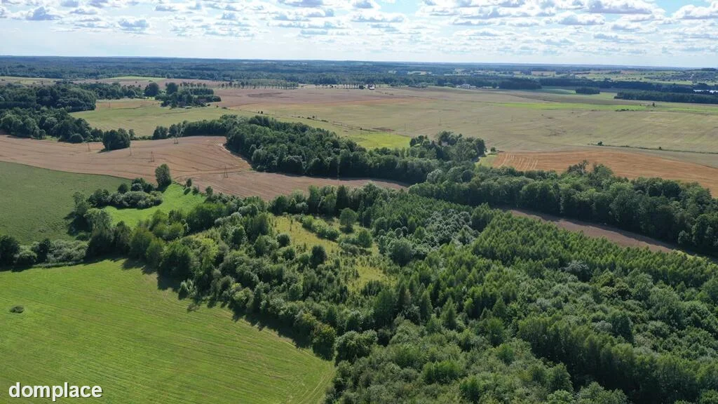 Działka — węgorzewski, Węgorzewo — zdjęcie 12
