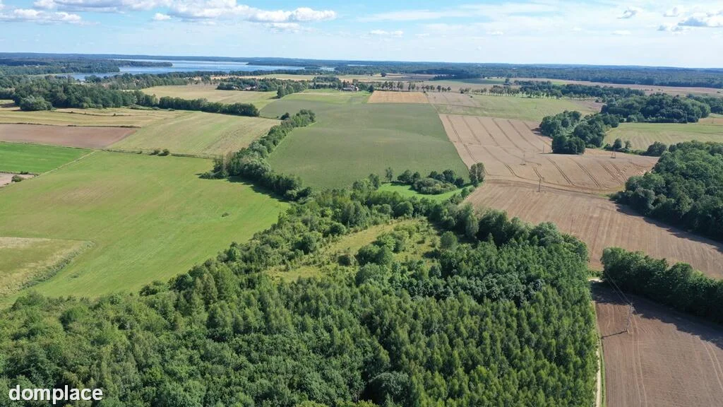 Działka — węgorzewski, Węgorzewo — zdjęcie 7