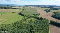 Działka — węgorzewski, Węgorzewo — zdjęcie 7