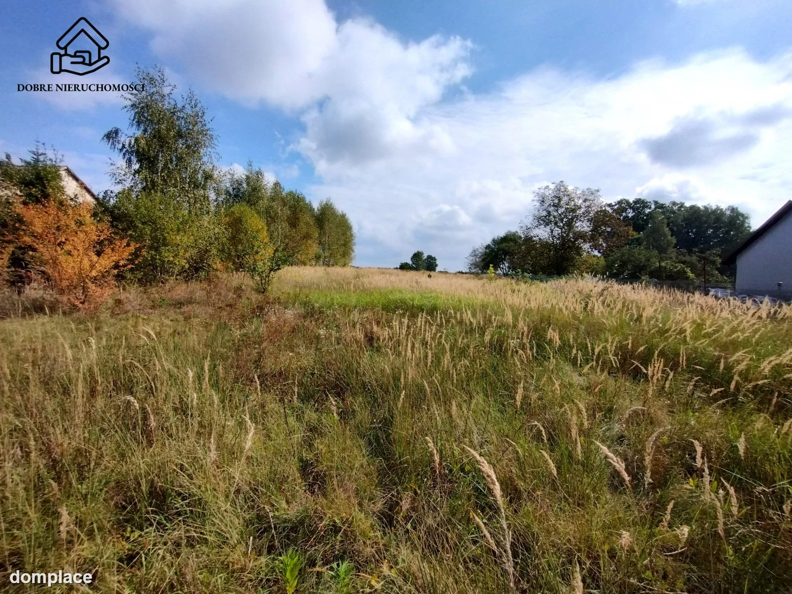 Działka — Prawiedniki — zdjęcie 2