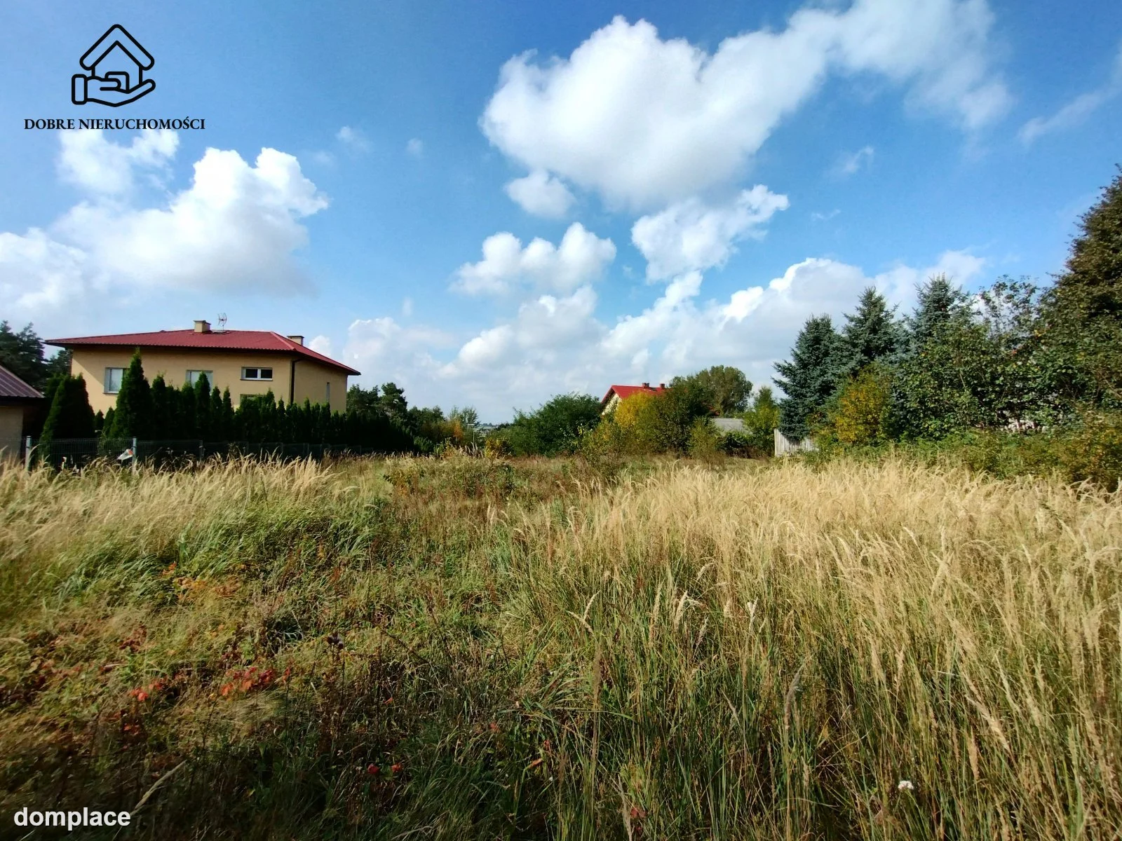 Działka — Prawiedniki — zdjęcie 3