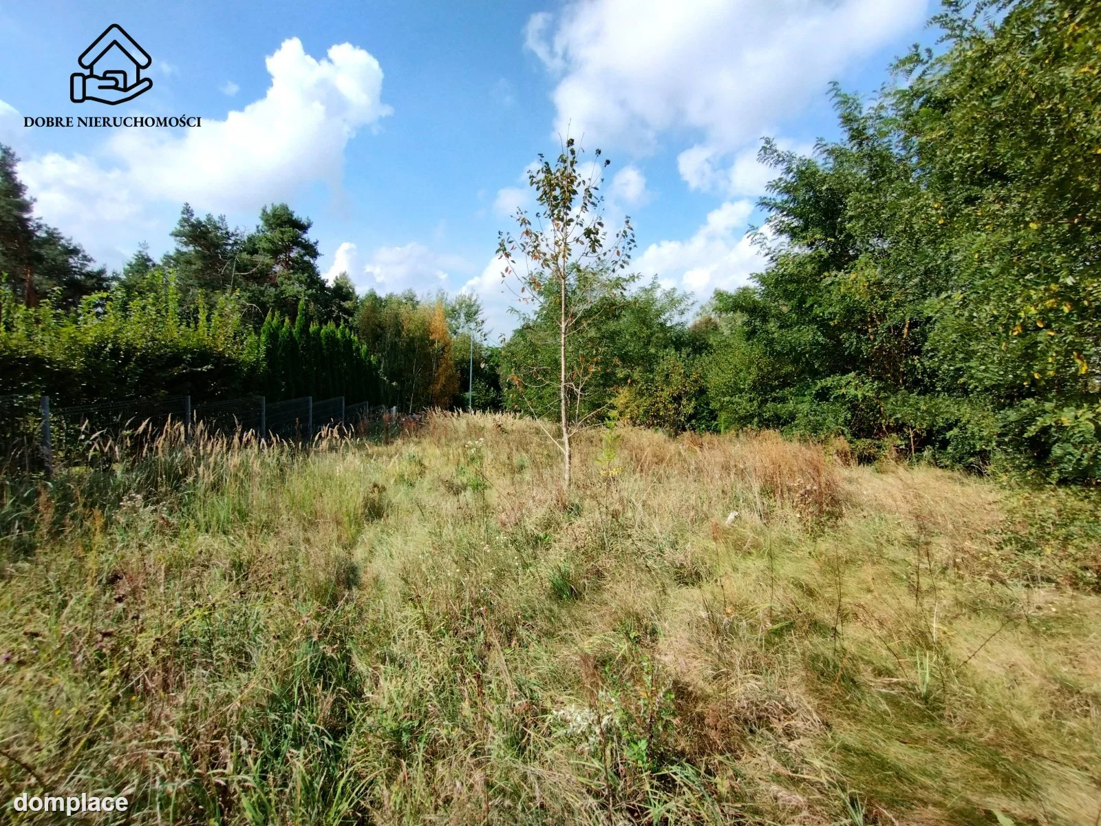 Działka — Prawiedniki — zdjęcie 4
