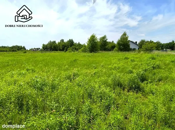 Działka — Ostrów Lubelski — zdjęcie 2