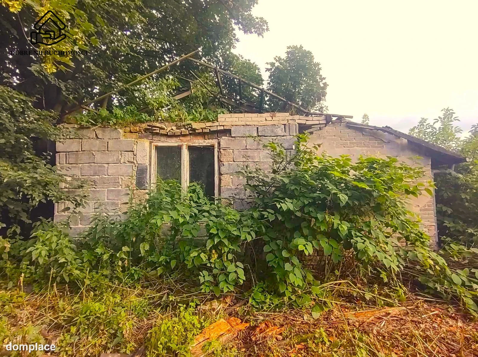 Działka — Poniatowa — zdjęcie 3