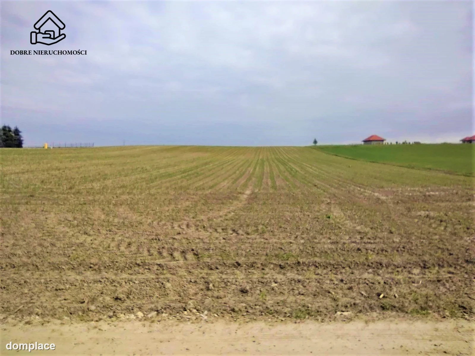 Działka — Miłocin — zdjęcie 4