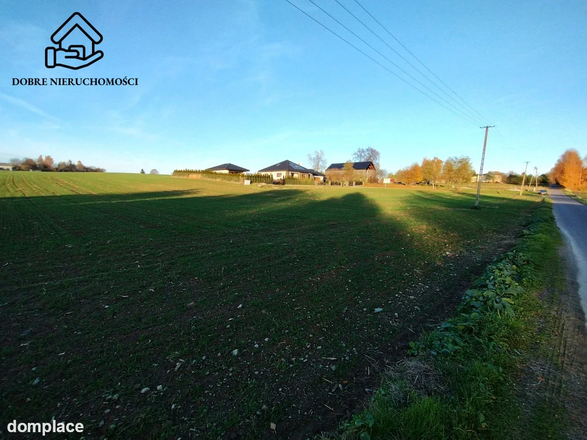Działka — Panieńszczyzna — zdjęcie 4