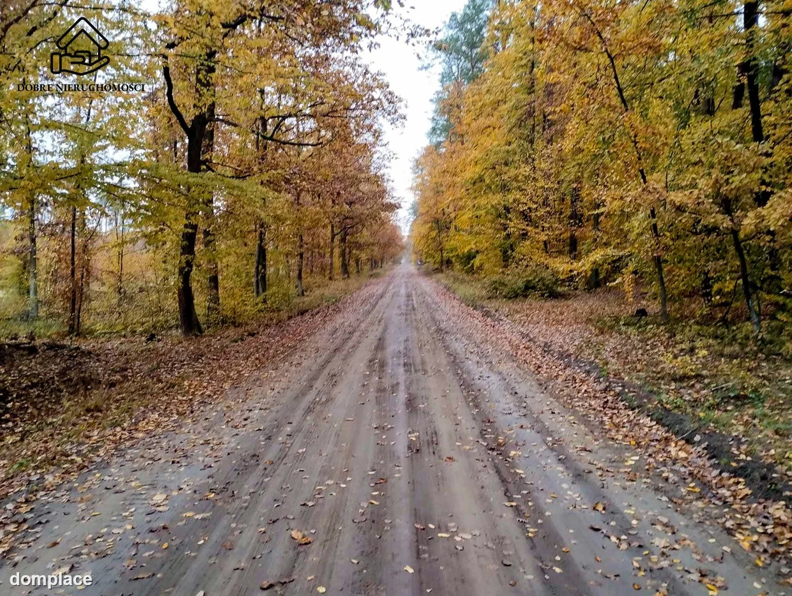 Działka — Majdan Kozłowiecki