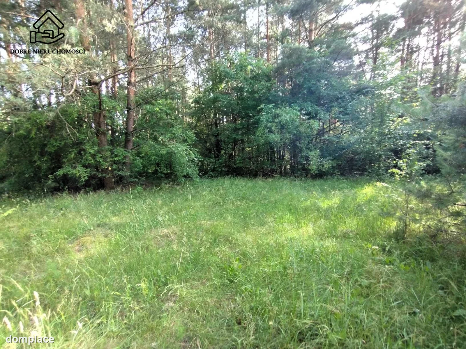 Działka — Dąbrówka