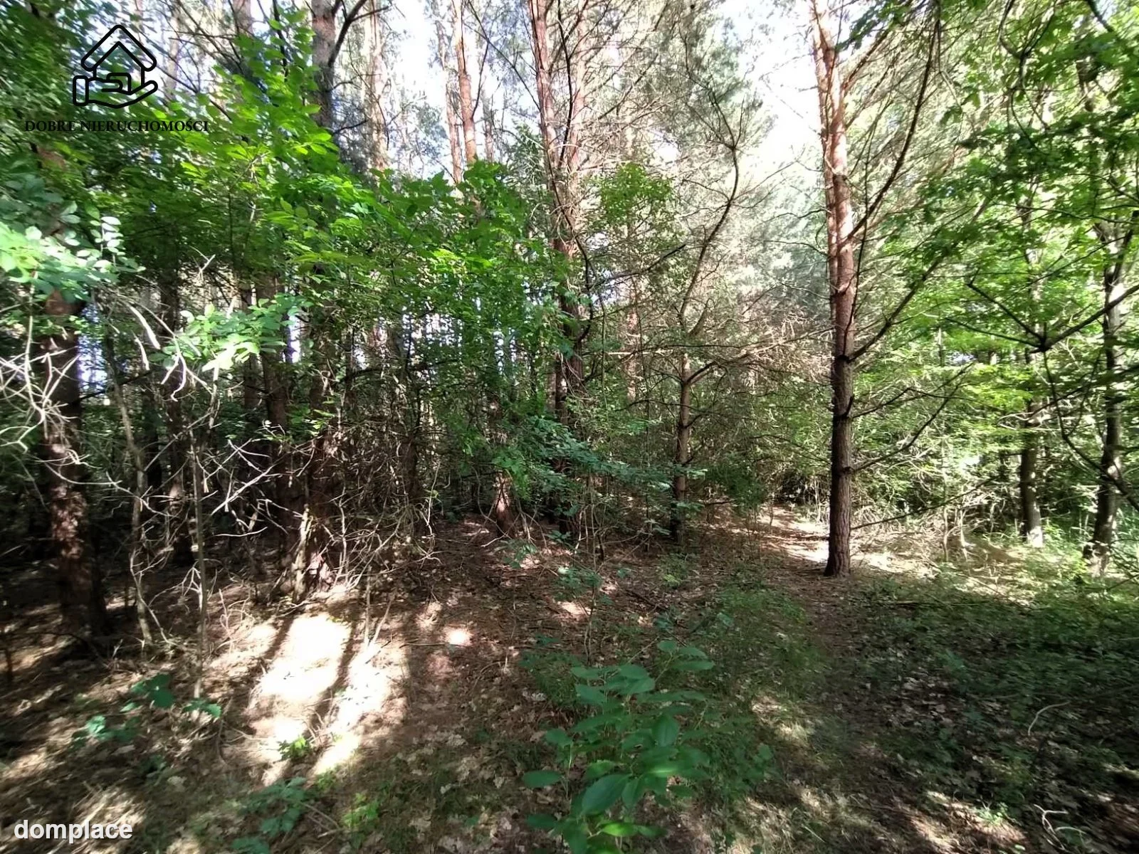 Działka — Dąbrówka — zdjęcie 2