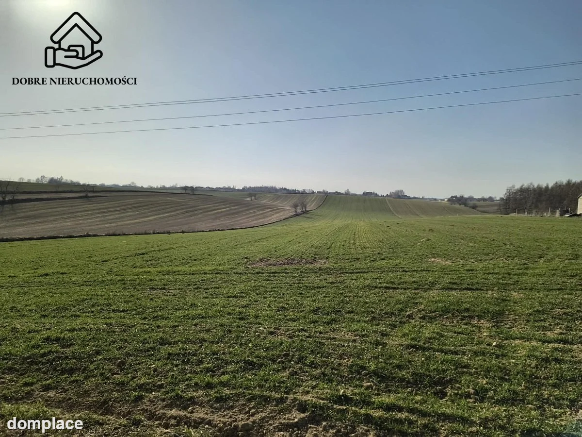 Działka — Jakubowice Konińskie-Kolonia — zdjęcie 3