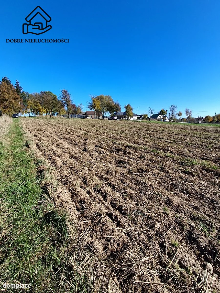 Działka — Żabia Wola — zdjęcie 5