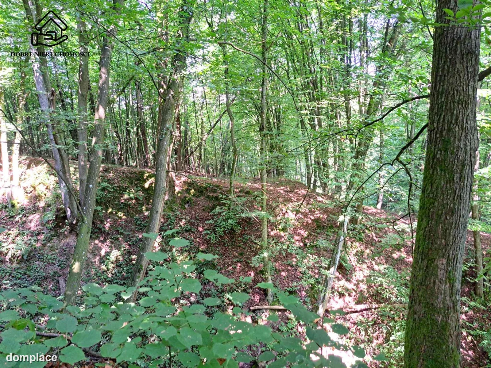 Działka — Kazimierz Dolny