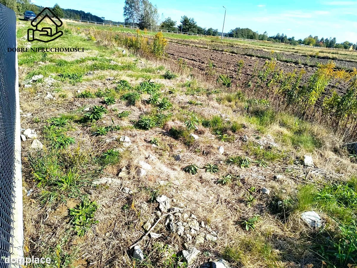 Działka — Rokitno — zdjęcie 4