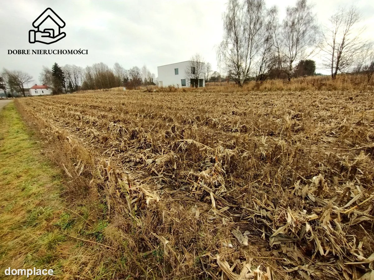 Działka — Płouszowice-Kolonia — zdjęcie 2