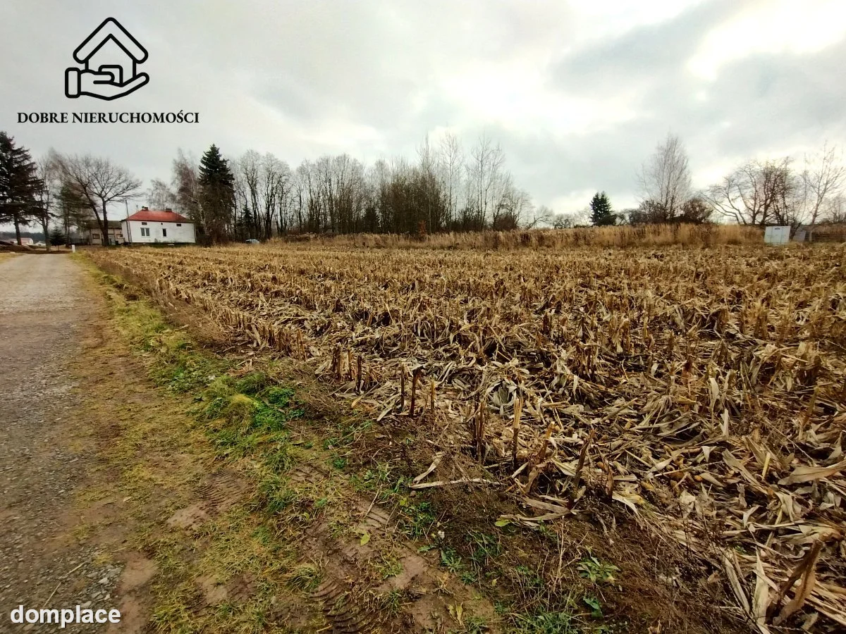 Działka — Płouszowice-Kolonia — zdjęcie 7