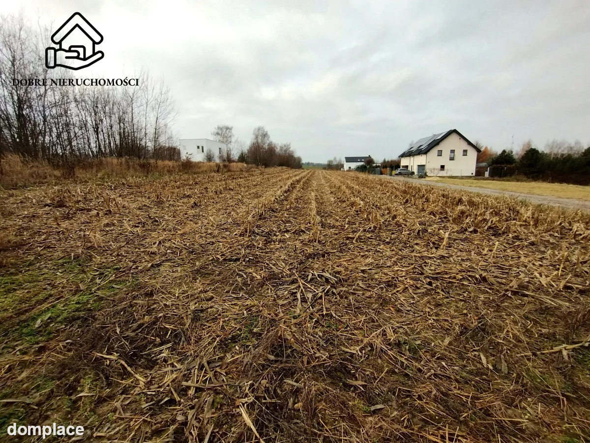 Działka — Płouszowice-Kolonia — zdjęcie 9