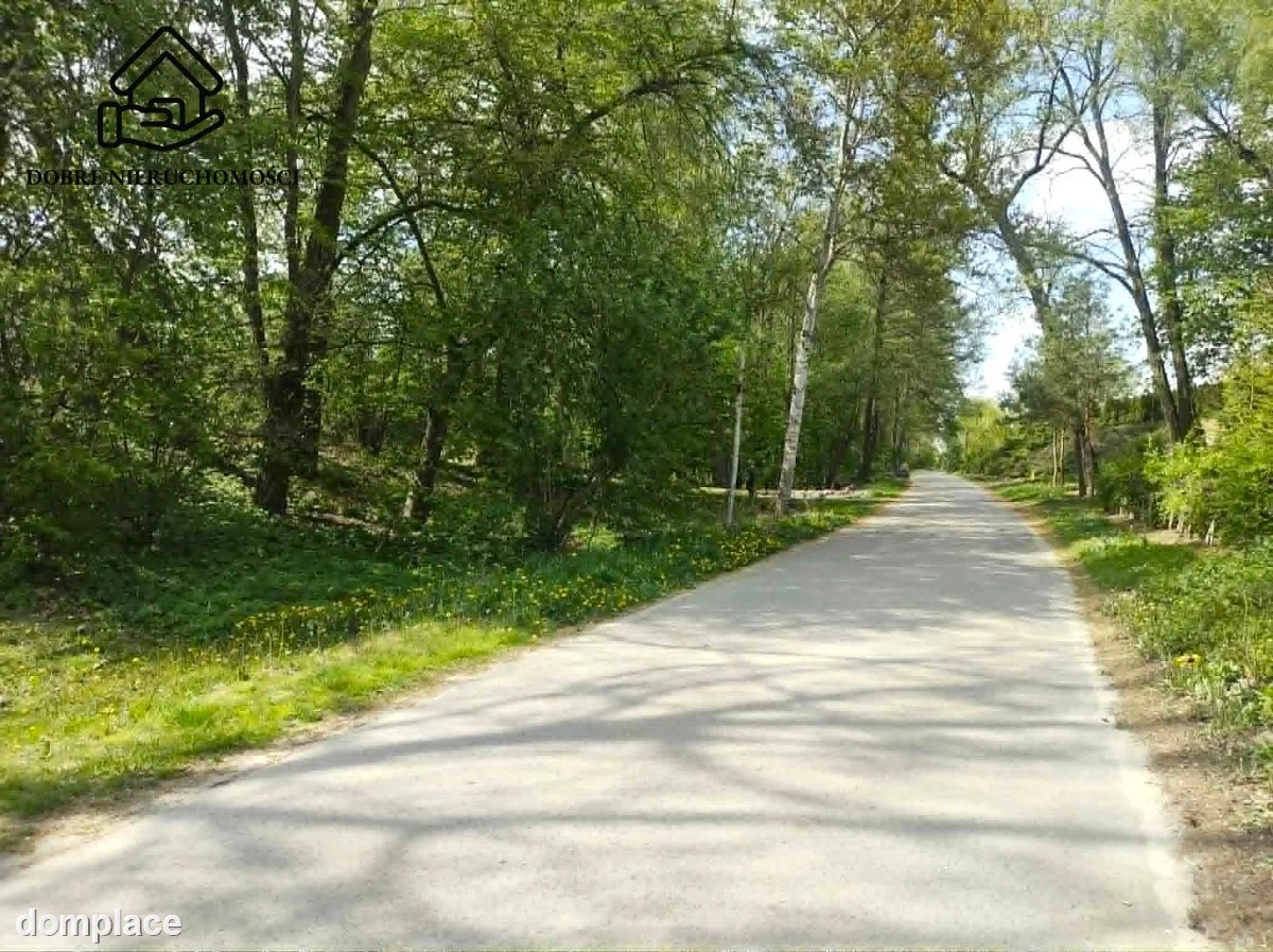 Działka — Wojciechów — zdjęcie 2