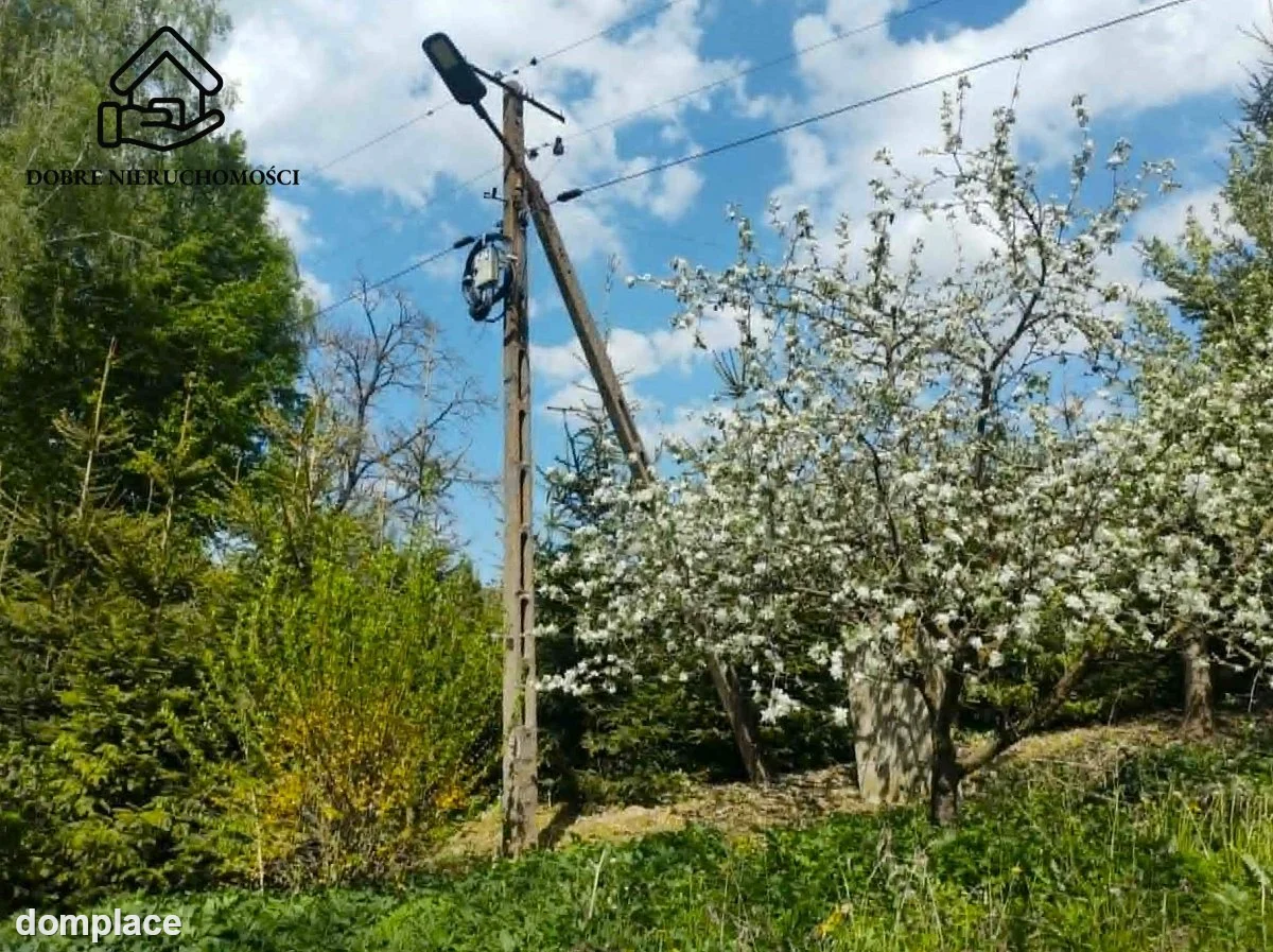 Działka — Wojciechów — zdjęcie 4