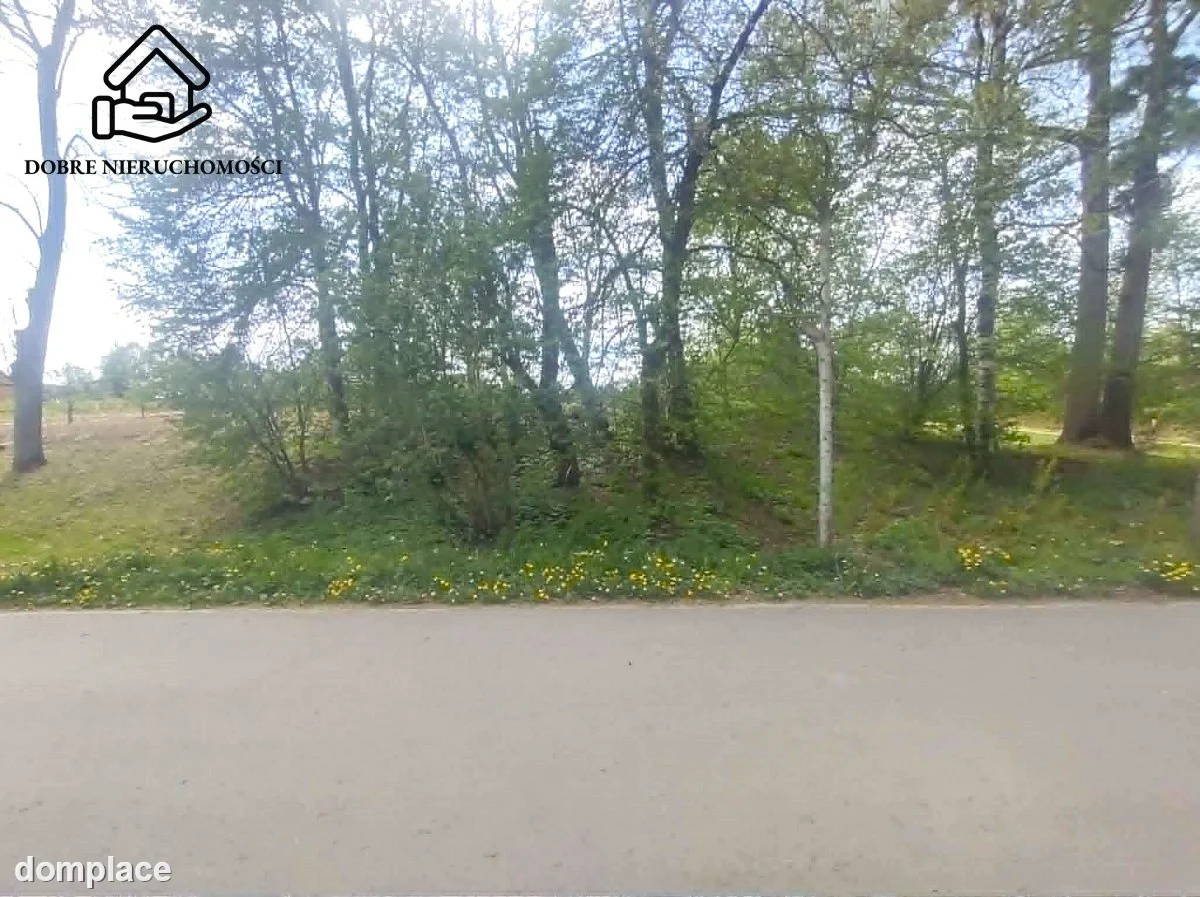 Działka — Wojciechów — zdjęcie 5