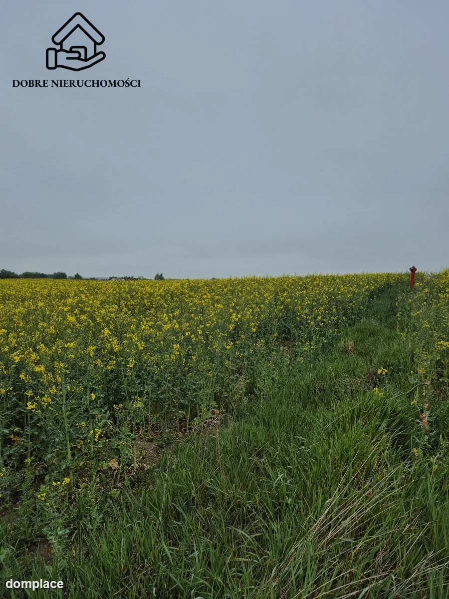 Działka — Żabia Wola — zdjęcie 2