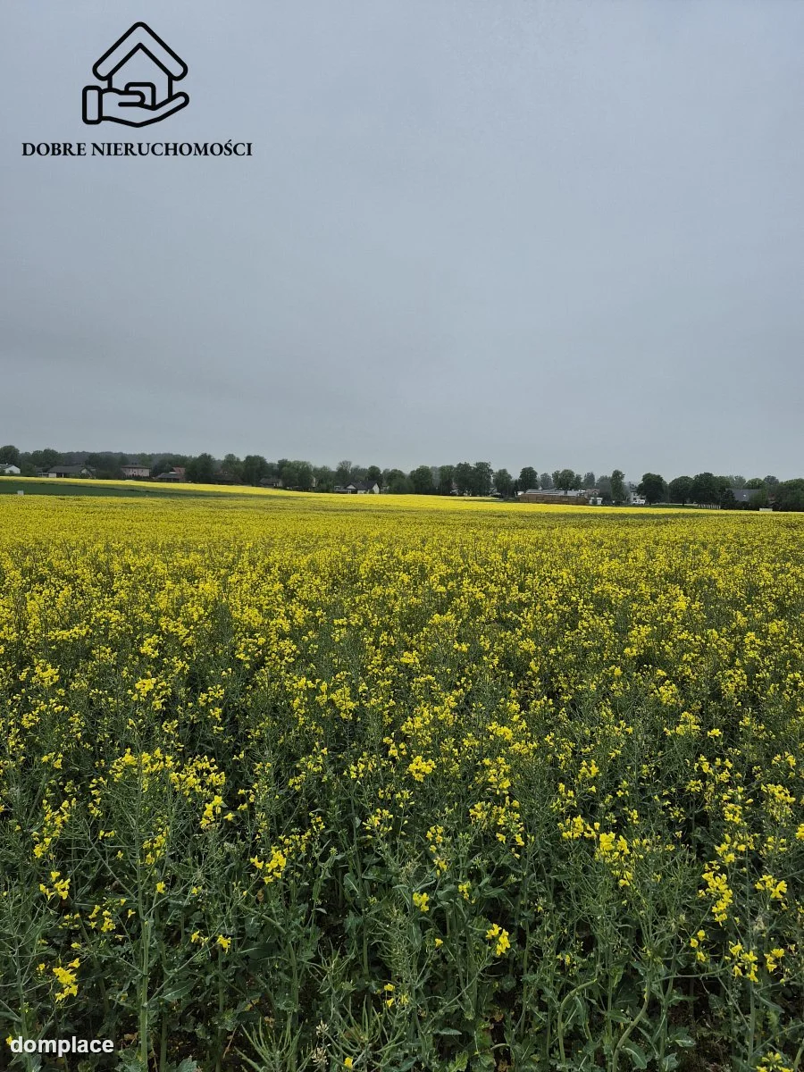 Działka — Żabia Wola — zdjęcie 3