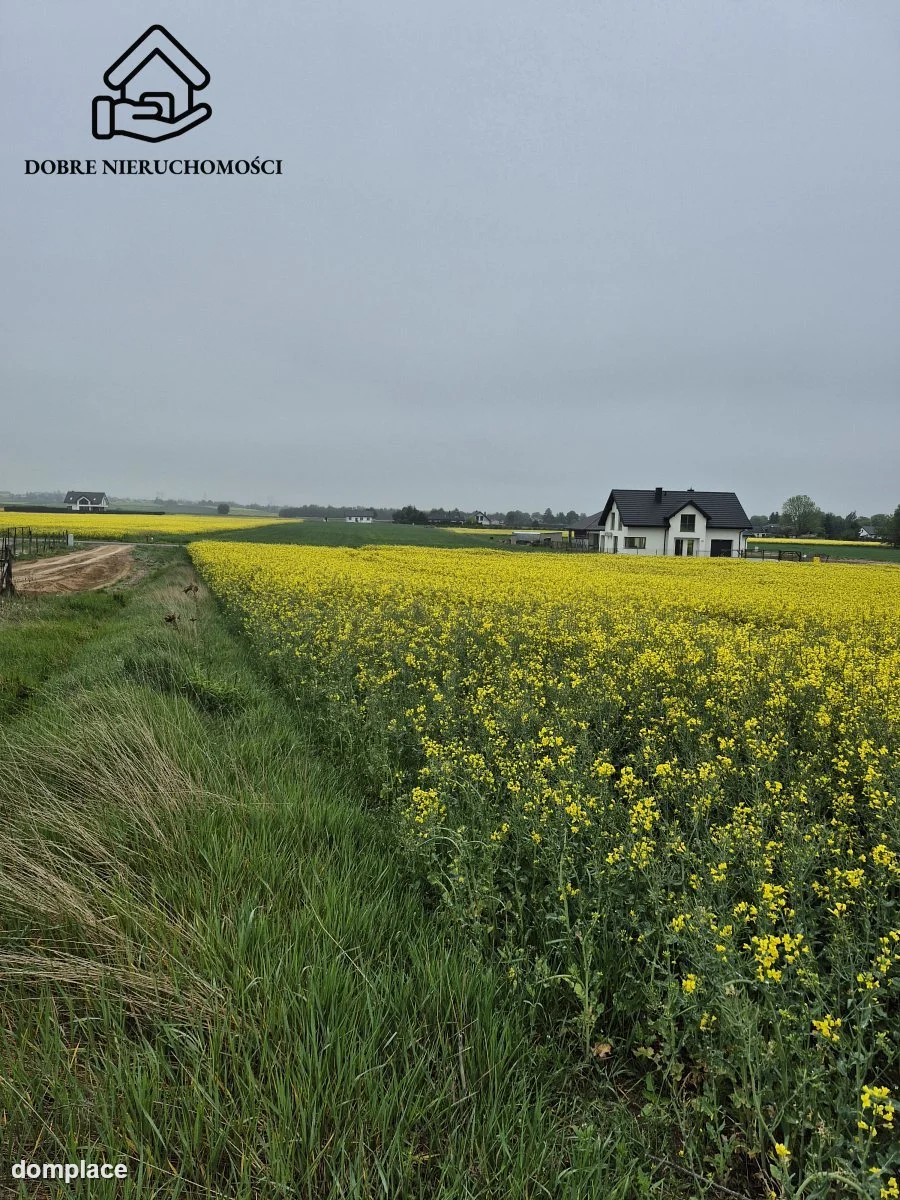 Działka — Żabia Wola — zdjęcie 4