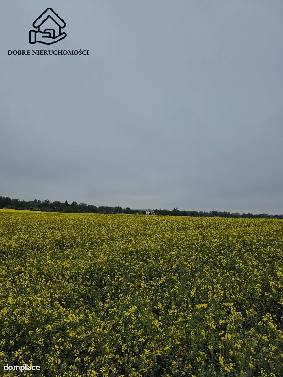 Działka — Żabia Wola — zdjęcie 5