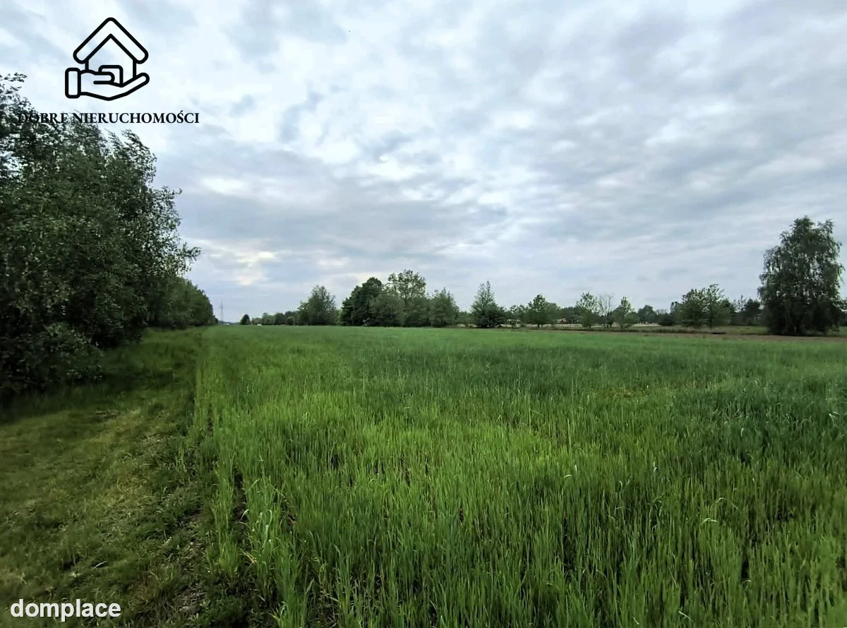 Działka — Osówka — zdjęcie 4