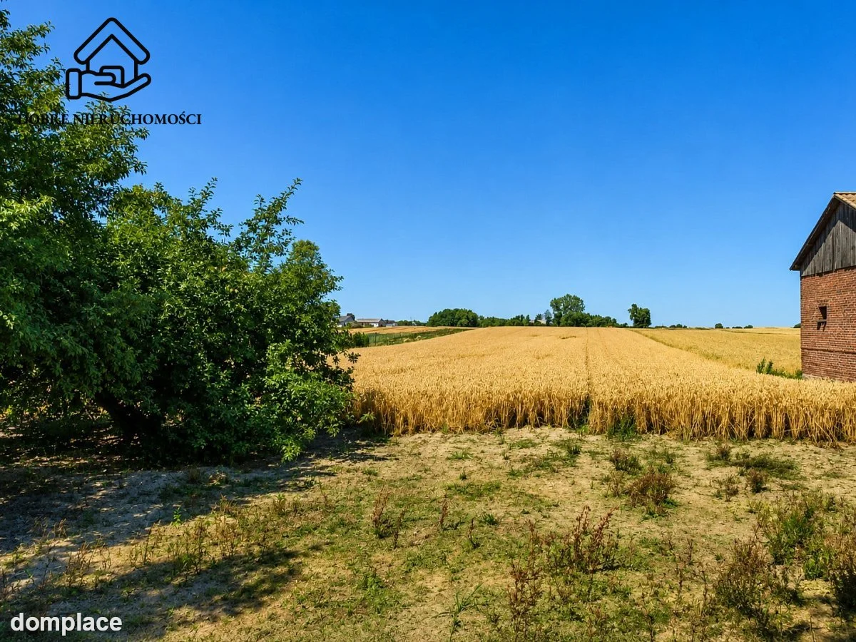 Działka — Zalesie — zdjęcie 2