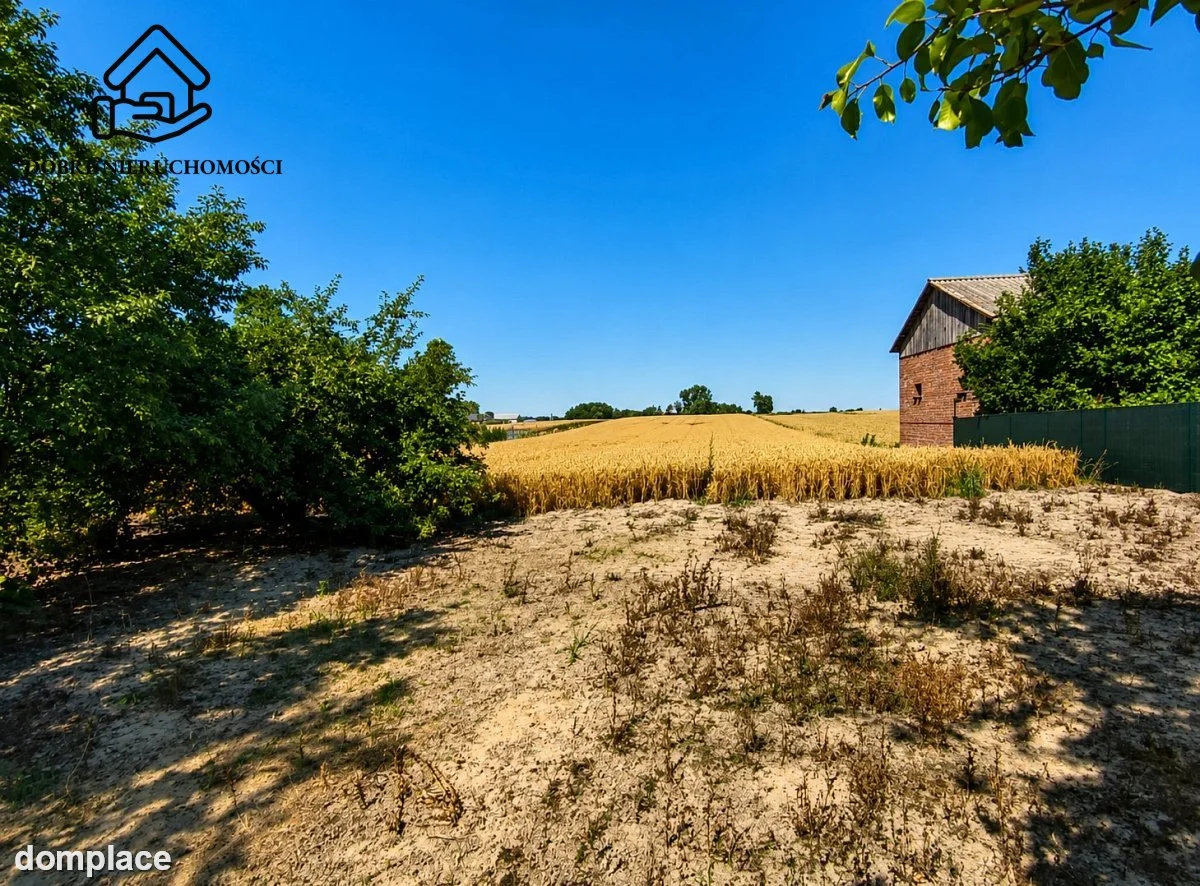 Działka — Zalesie — zdjęcie 3