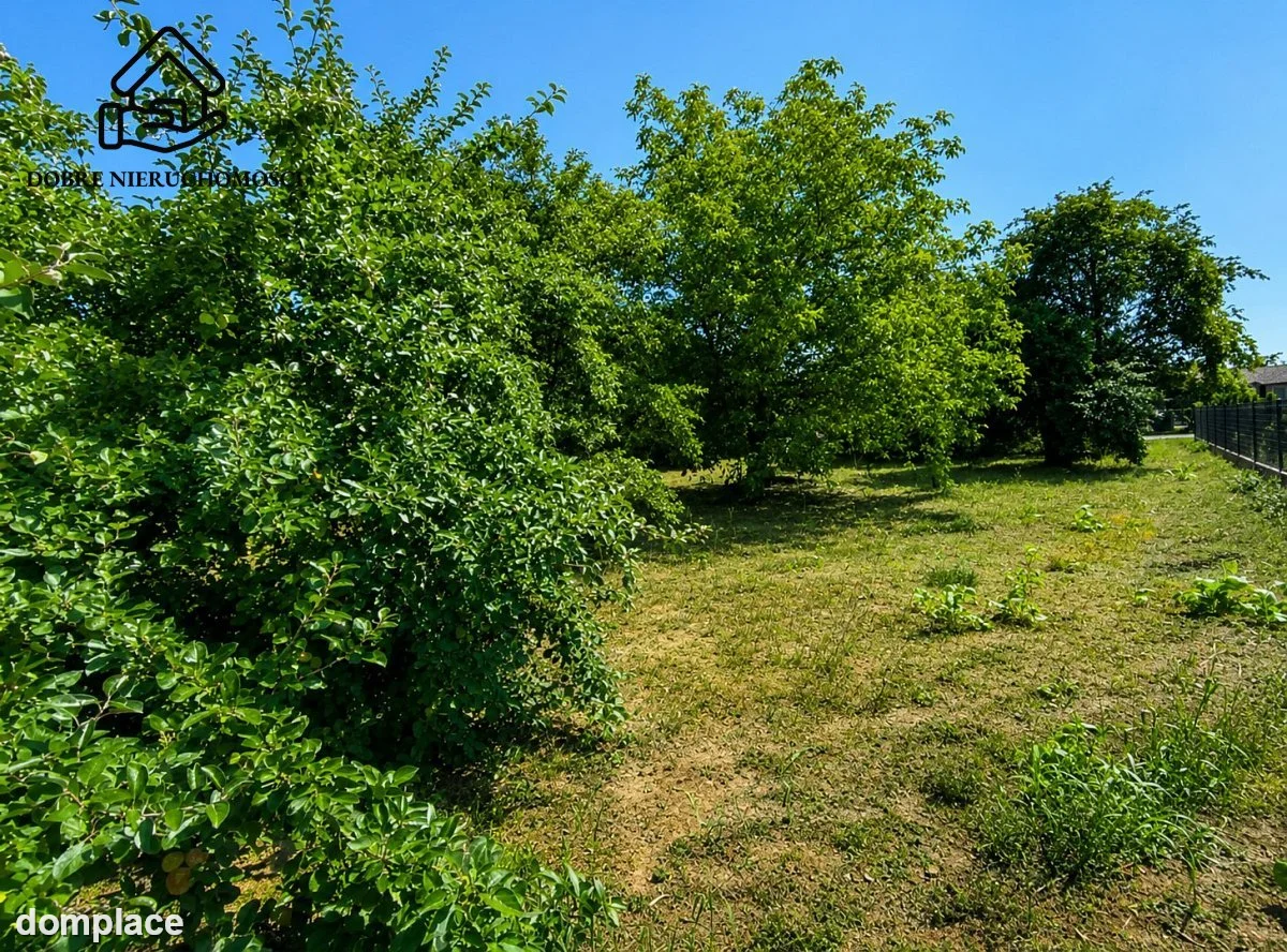 Działka — Zalesie — zdjęcie 4