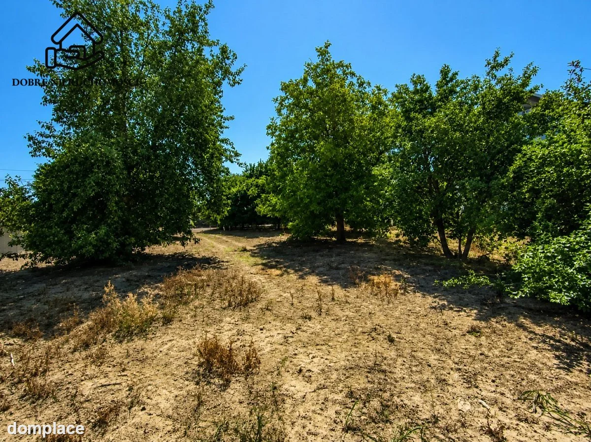 Działka — Zalesie — zdjęcie 5