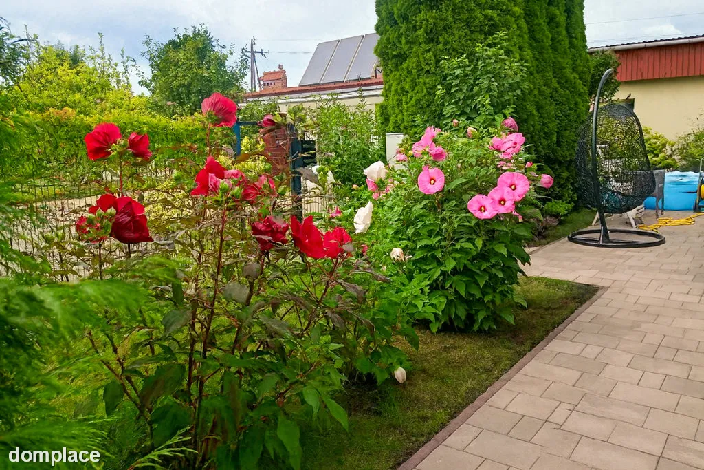 Dom szeregowy Radymno, 4 pokoje, wysoki standard — zdjęcie 8