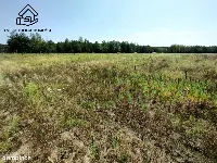Działka — Pryszczowa Góra — zdjęcie 5