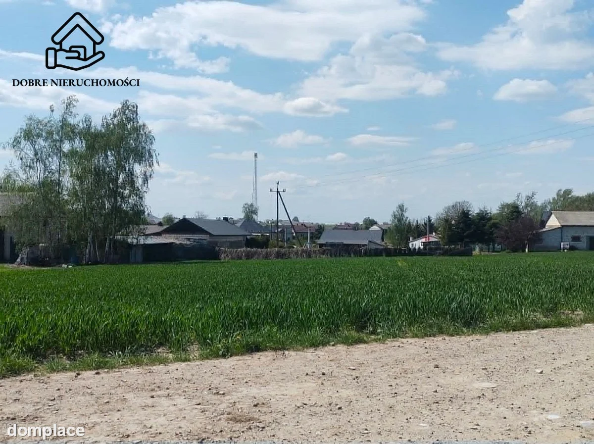 Działka — Wojciechów — zdjęcie 2