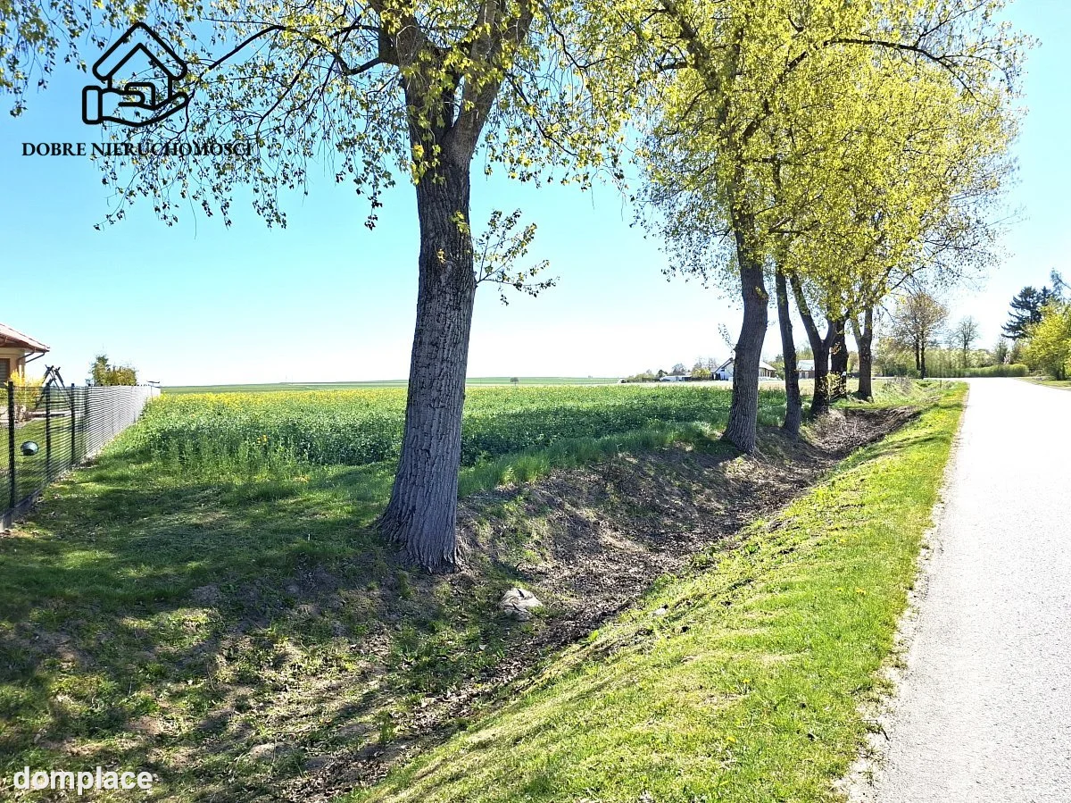 Działka — Skrzynice Pierwsze — zdjęcie 9
