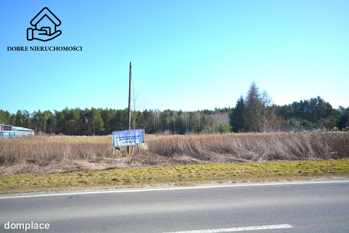 Działka — Głusko Duże-Kolonia — zdjęcie 6