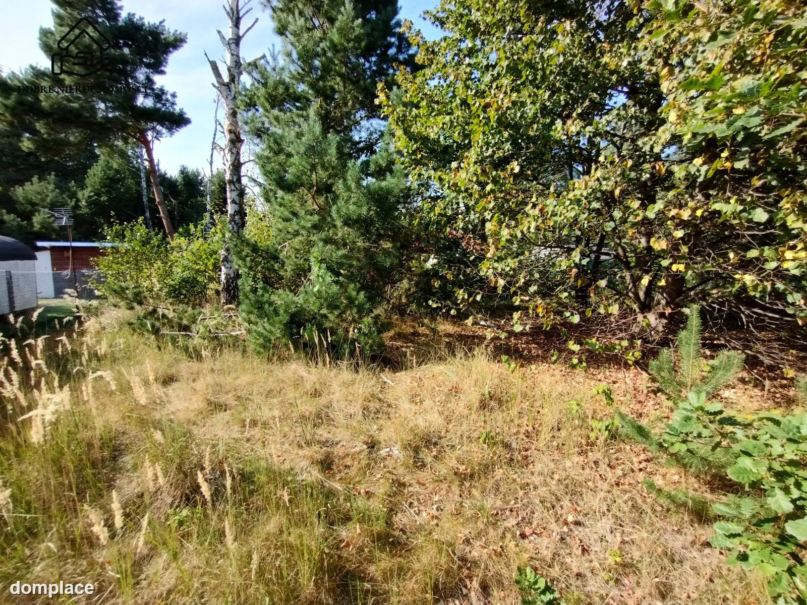 Działka — Rogóźno — zdjęcie 3