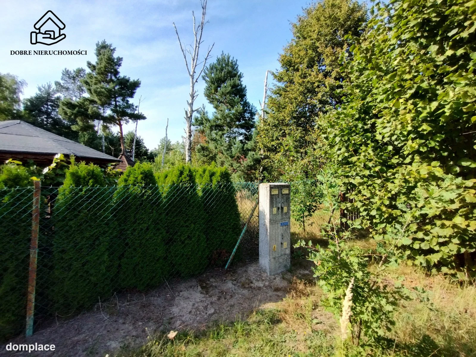 Działka — Rogóźno — zdjęcie 4