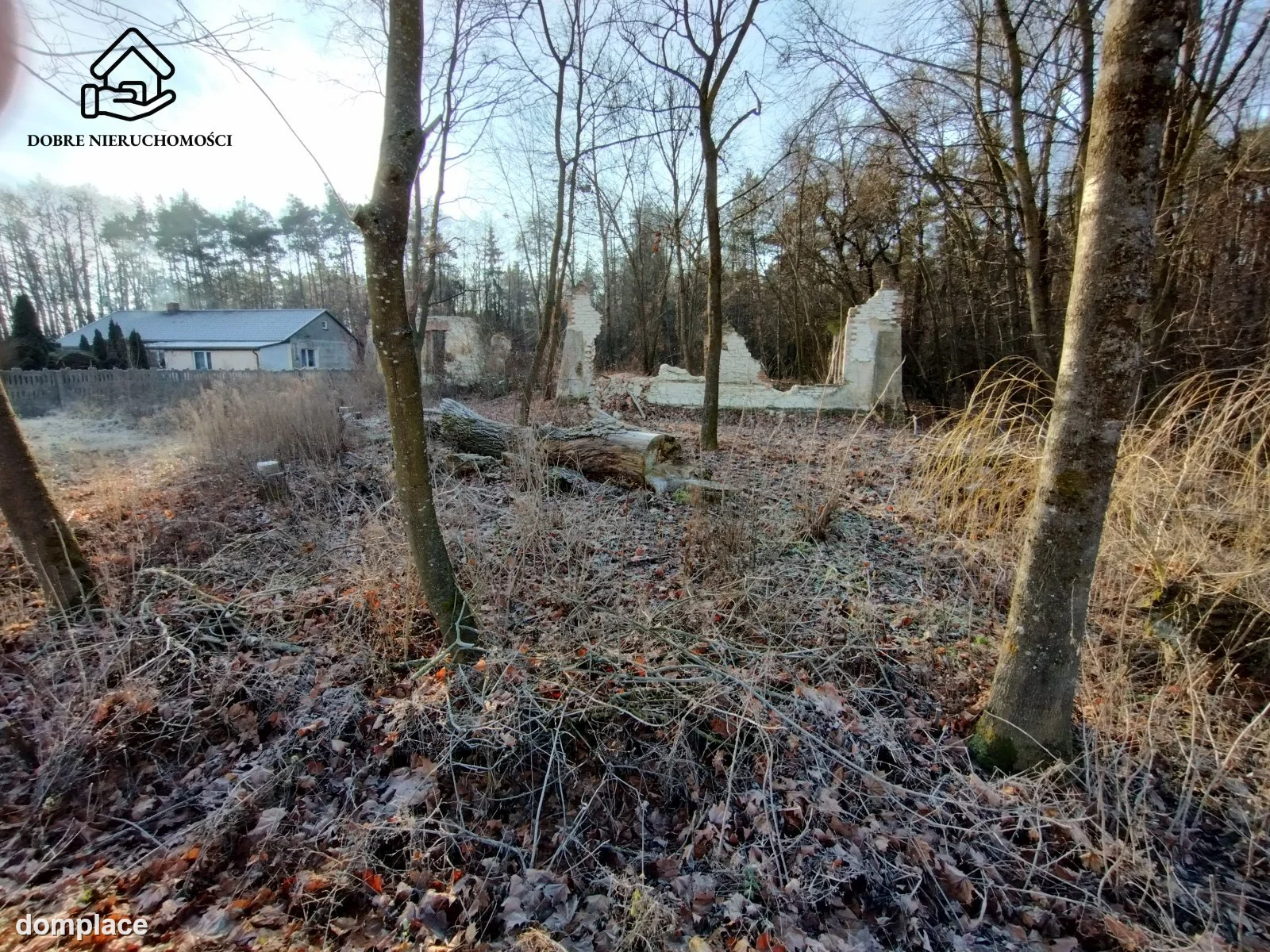 Działka — Krasne — zdjęcie 3