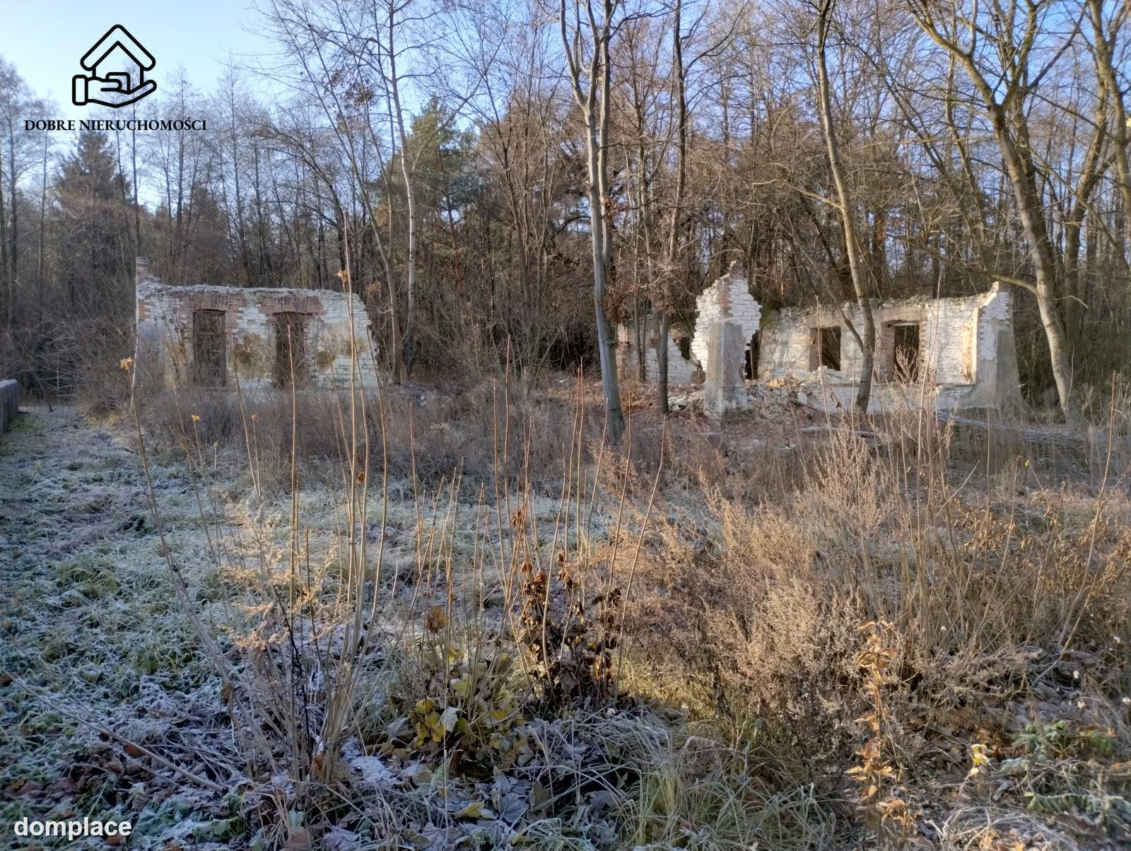 Działka — Krasne — zdjęcie 4